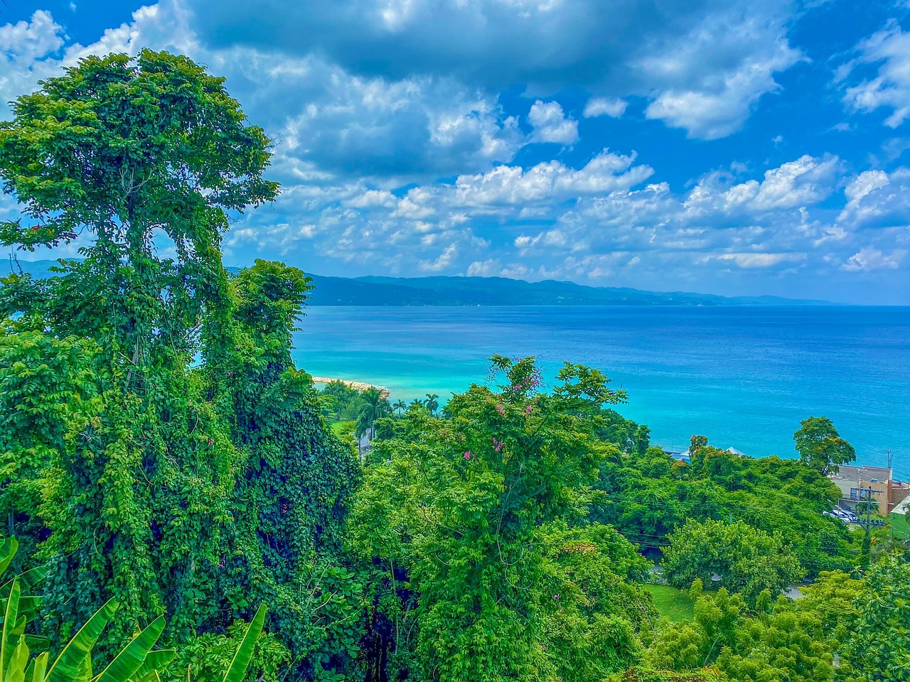découvrez la jamaïque, une île des caraïbes reconnue pour ses plages de rêve, sa culture vibrante, sa musique reggae et ses paysages luxuriants. partez à la découverte de ses trésors naturels et de son patrimoine unique.