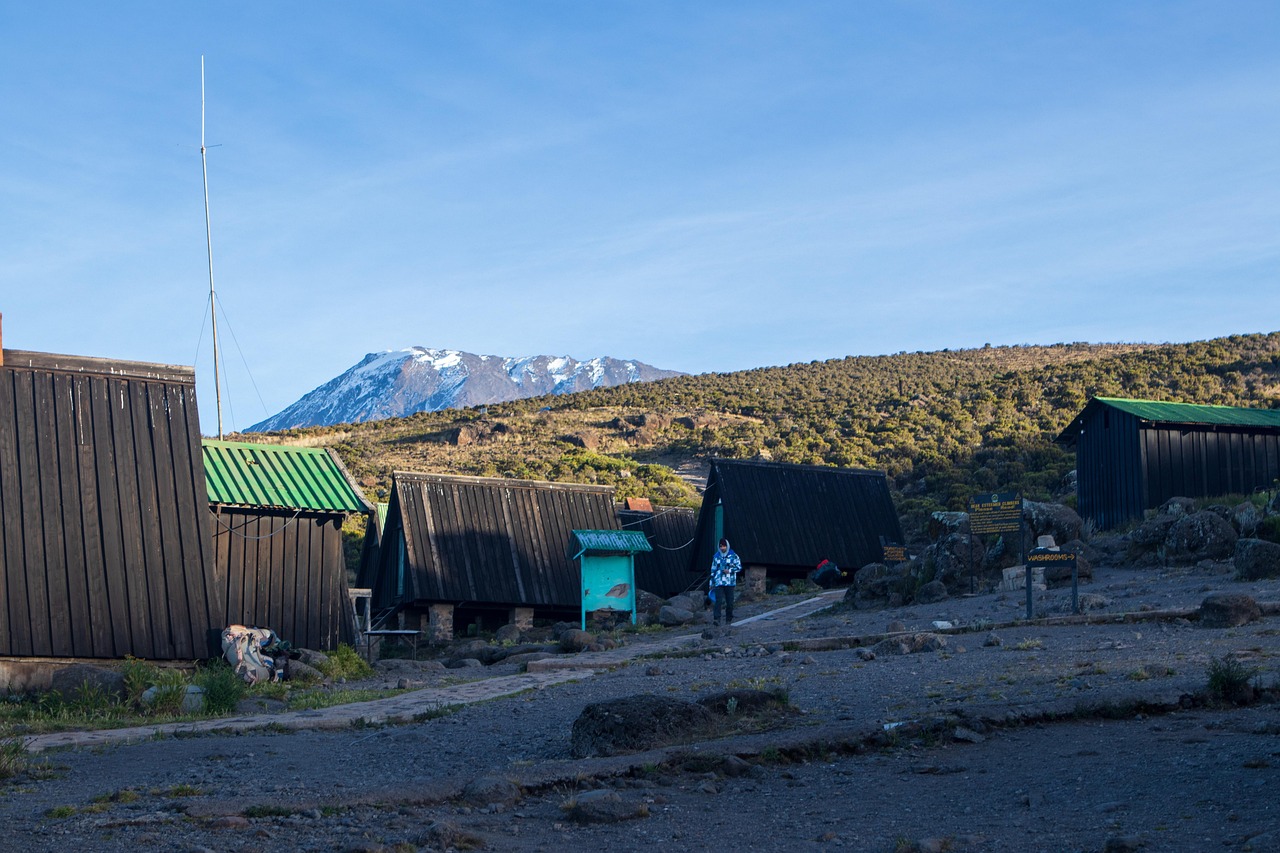 découvrez le kilimandjaro, le plus haut sommet d’afrique. infos pratiques, conseils pour l’ascension, climat, préparation et faits historiques sur cette montagne mythique de tanzanie.