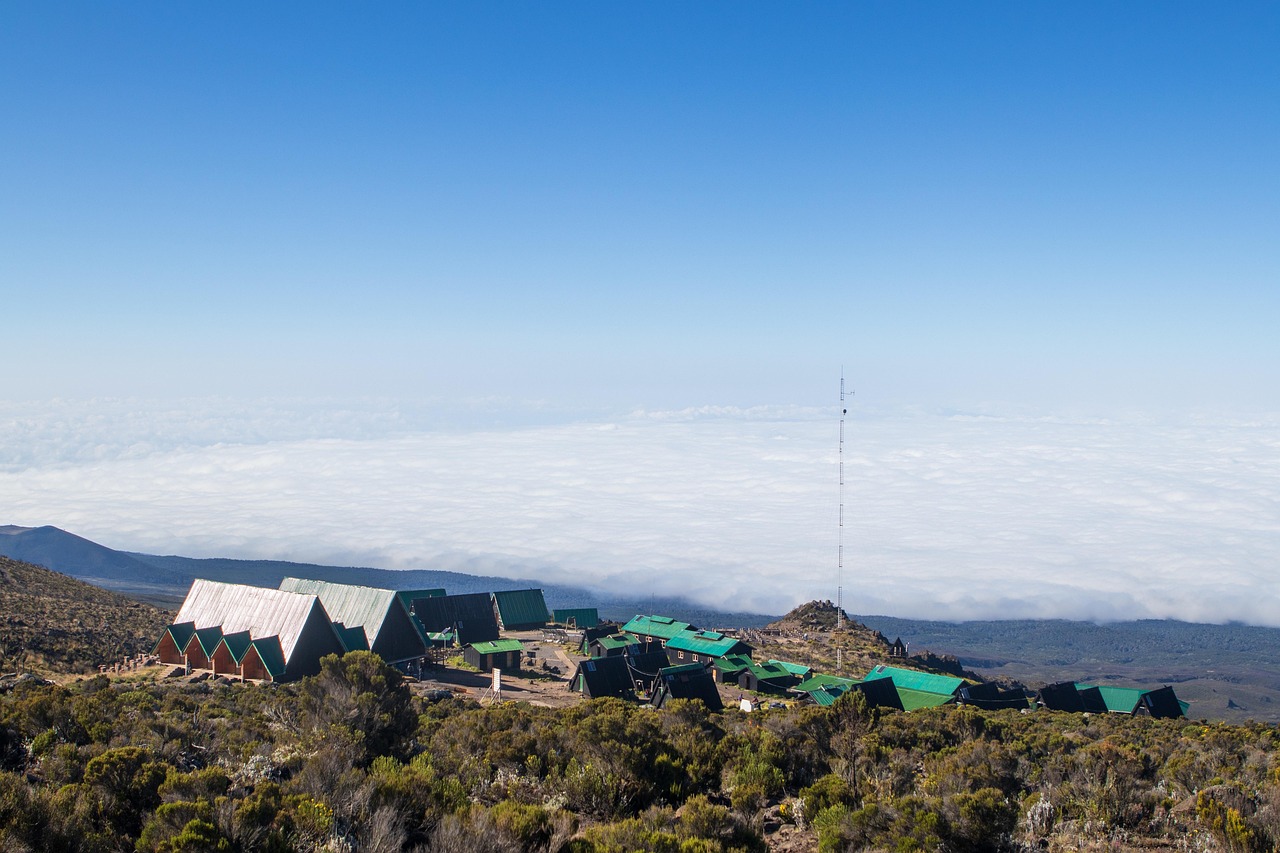 découvrez le kilimandjaro, le plus haut sommet d'afrique, célèbre pour ses paysages époustouflants, ses randonnées inoubliables et sa faune unique. partez à l’aventure et explorez ce joyau naturel incontournable.
