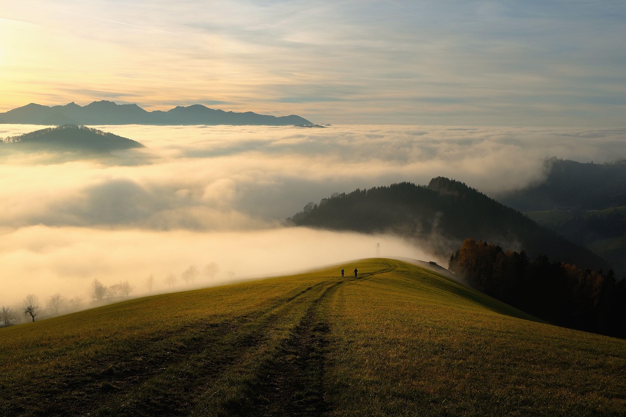 découvrez la beauté spectaculaire des montagnes, explorez leurs paysages majestueux et apprenez-en plus sur leurs écosystèmes uniques et leurs activités de plein air incontournables.