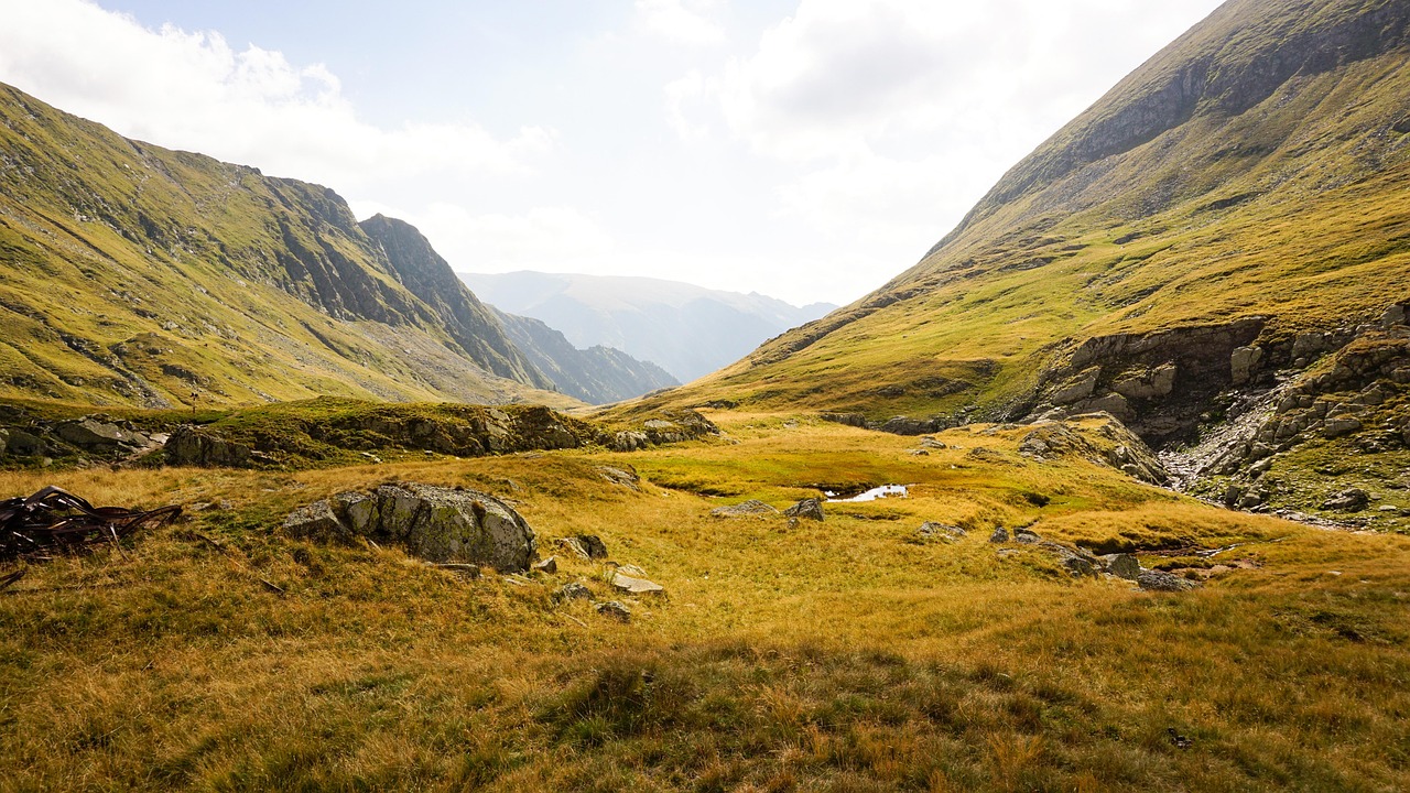 découvrez la beauté majestueuse des montagnes à travers des paysages époustouflants, des conseils pour la randonnée et des informations fascinantes sur la faune et la flore des sommets.