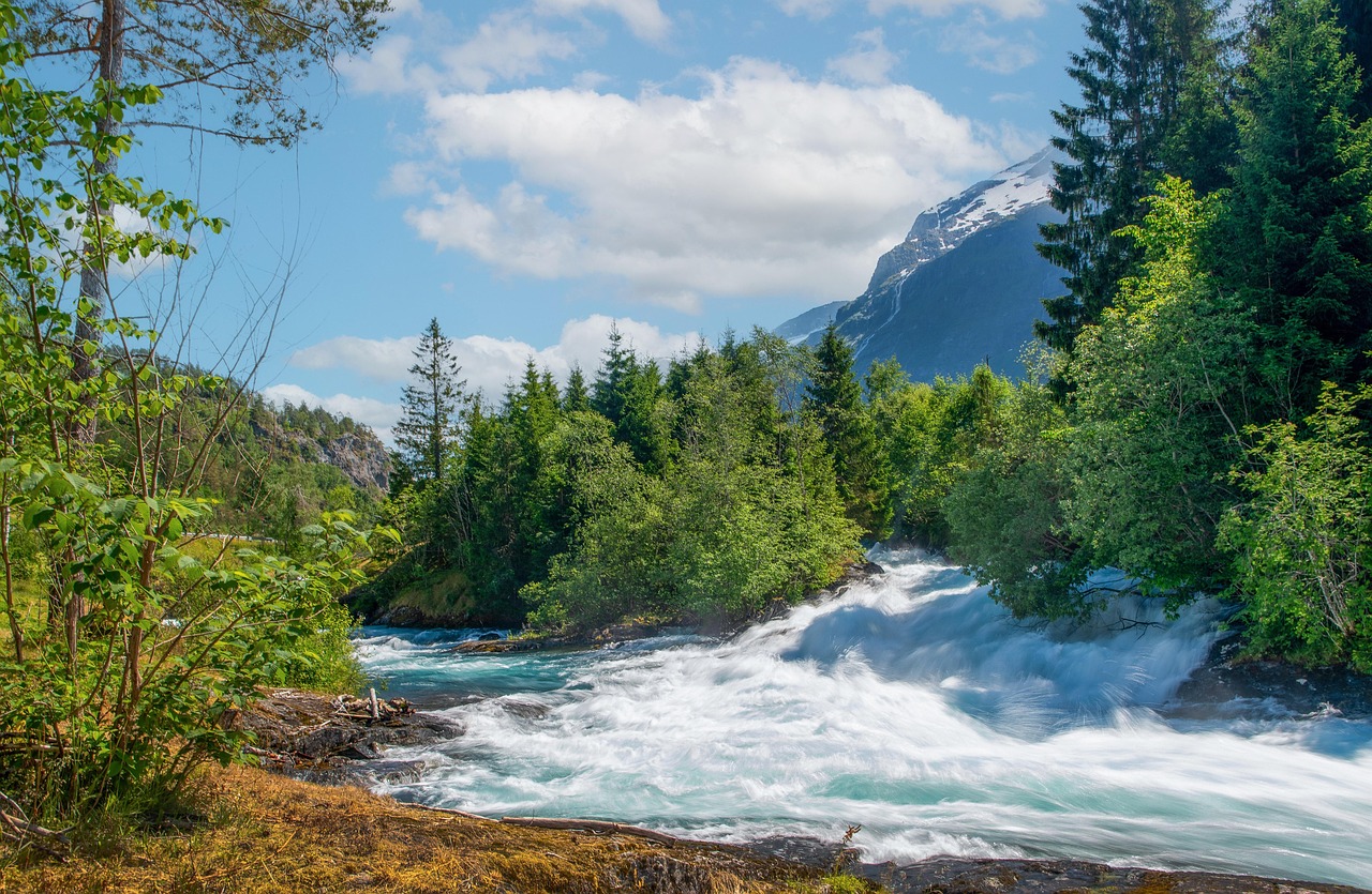 découvrez tout sur les rivières : leur formation, leur importance écologique, et les plus beaux cours d'eau à travers le monde.