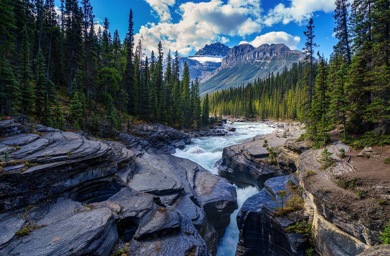découvrez tout sur les rivières : leur formation, leur importance écologique, les principales rivières du monde et leurs rôles essentiels dans la nature et les activités humaines.