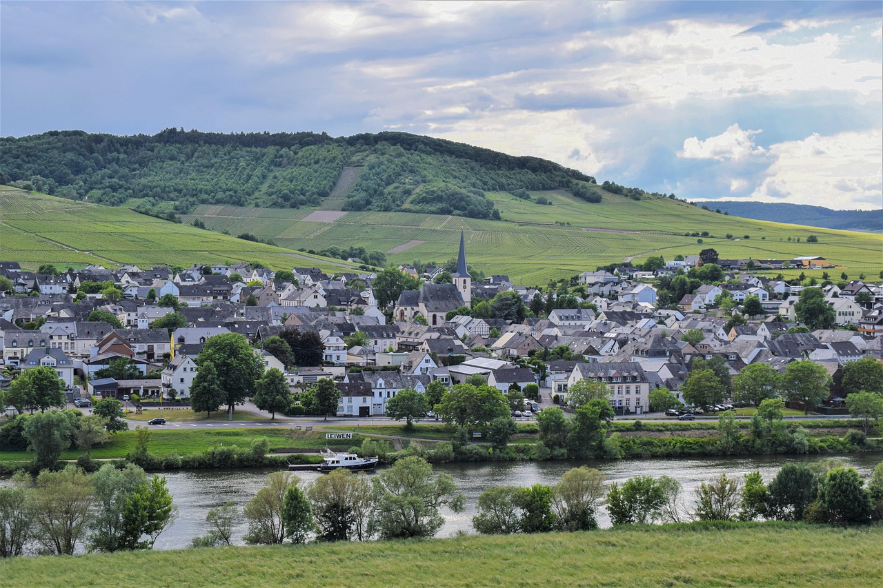 découvrez tout sur les rivières : leur importance, leur biodiversité et leur rôle dans l'écosystème. explorez des informations fascinantes et éducatives sur ces cours d'eau essentiels.