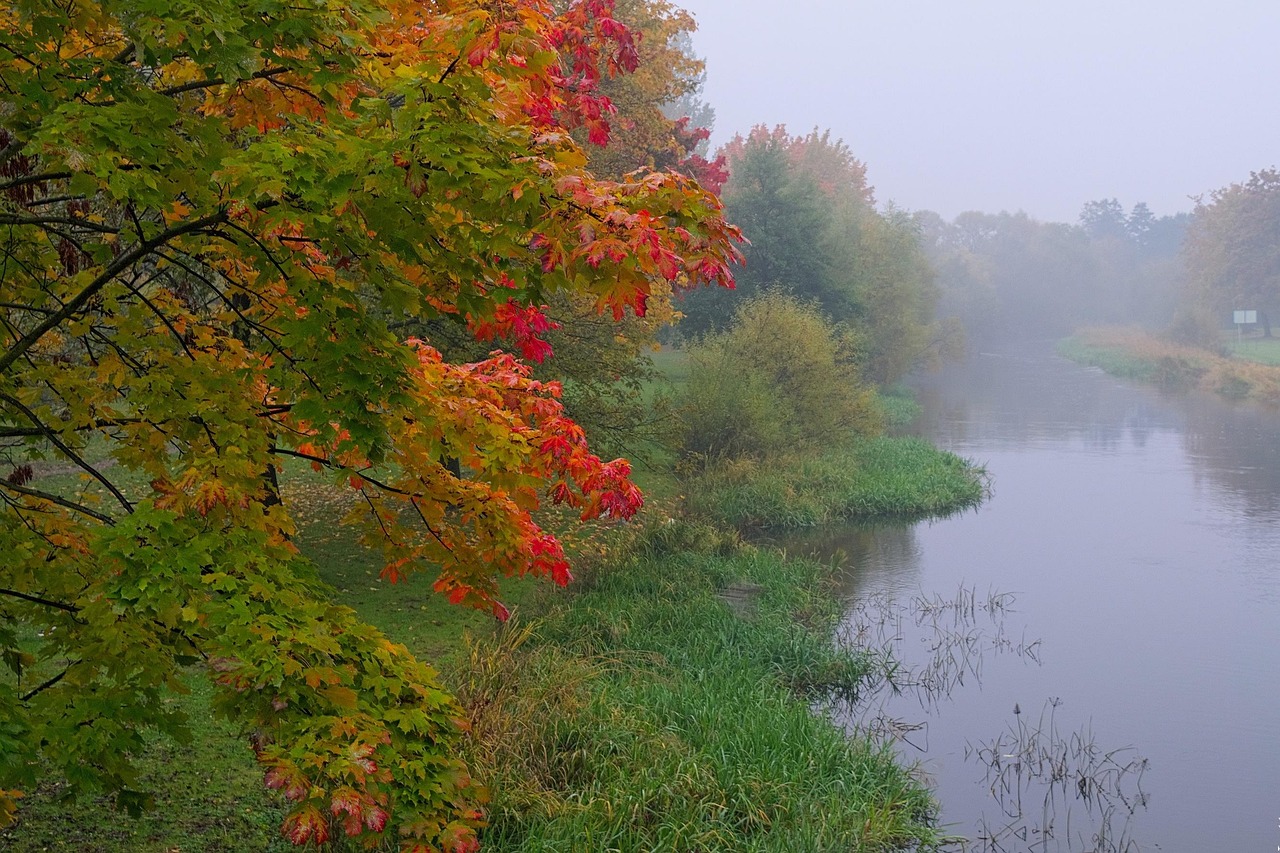 découvrez une liste des rivières dont le nom commence par la lettre v, avec des informations géographiques et historiques.