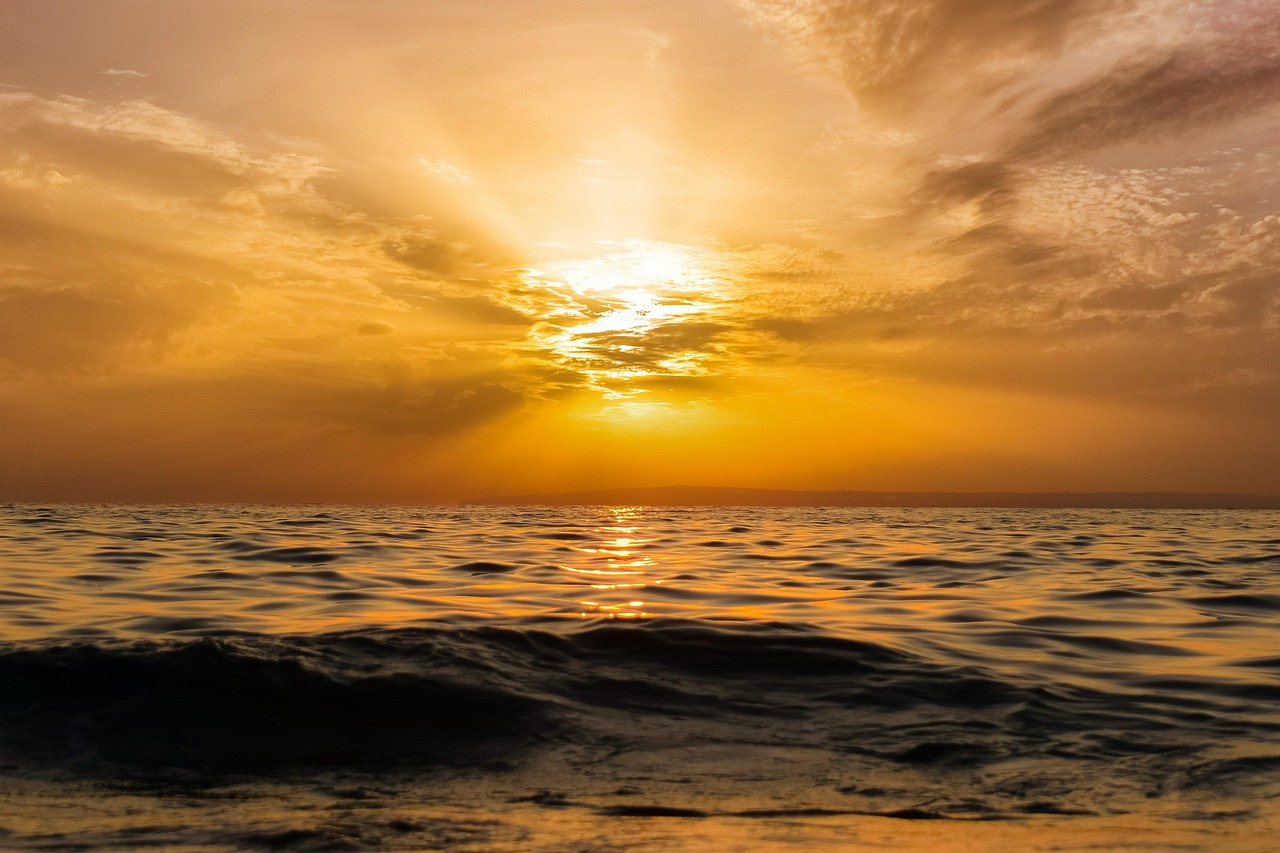 découvrez les merveilles des mers et des océans, leurs écosystèmes fascinants, la faune marine exceptionnelle et leur importance pour l'équilibre de la planète.
