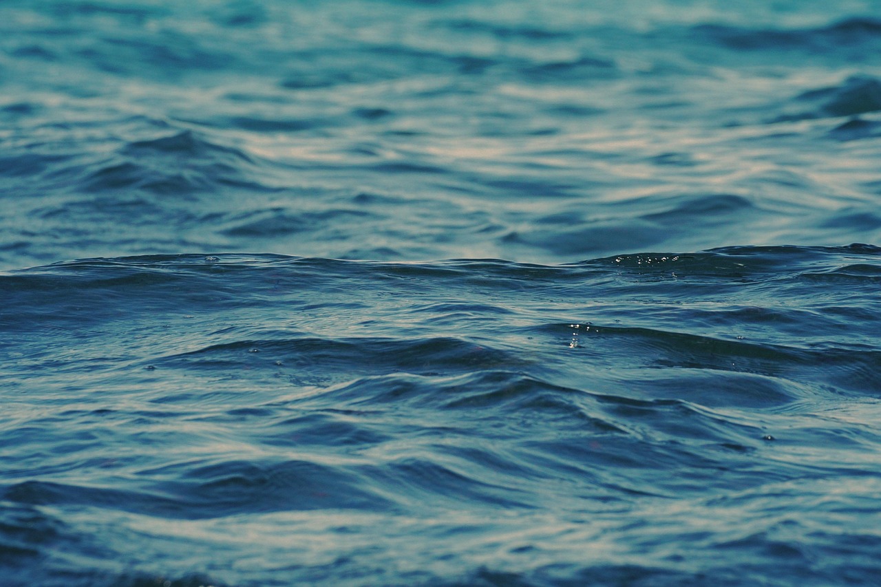 découvrez les merveilles des mers et des océans, leur biodiversité, leur importance écologique et les défis de leur préservation.