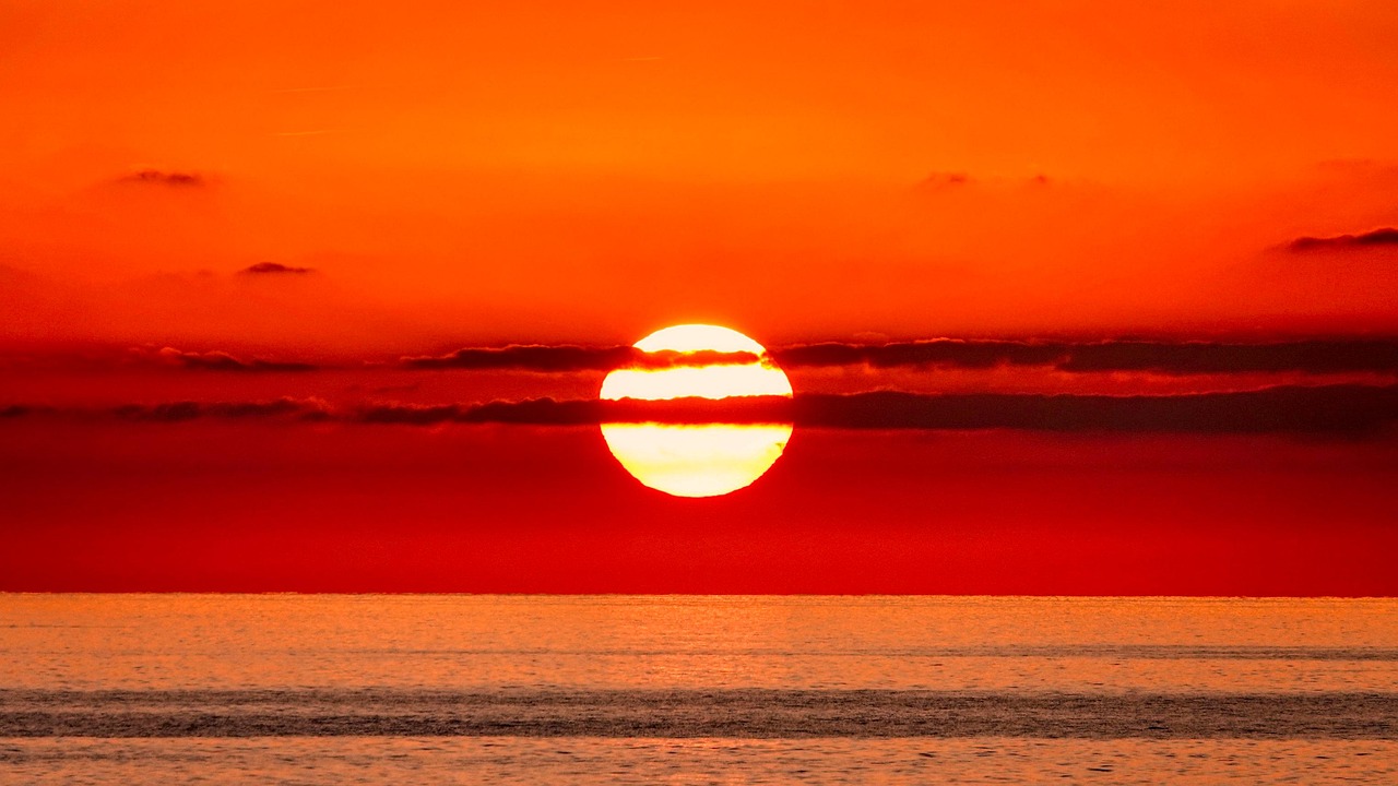 découvrez les merveilles des mers et des océans, leur biodiversité incroyable, leurs écosystèmes uniques et leur importance pour notre planète.