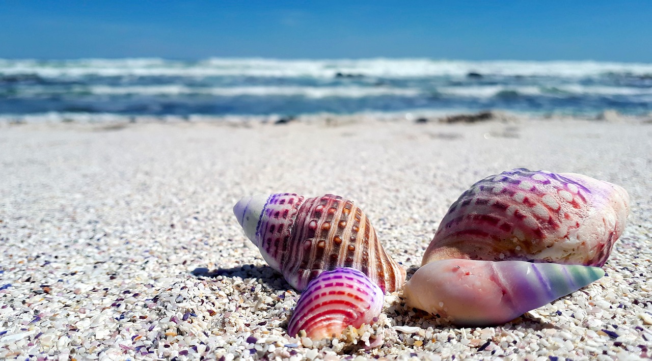 découvrez la beauté et la richesse des océans, essentiels à la vie sur terre, avec leurs écosystèmes diversifiés et leurs mystères fascinants.